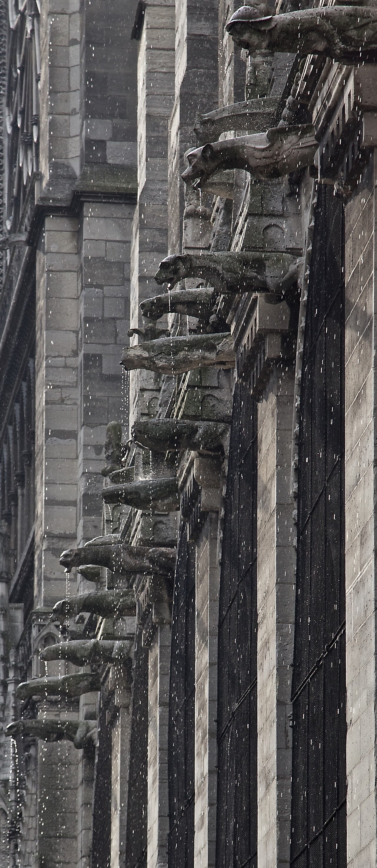 What Is a Gargoyle? The Test Is Whether It Drains